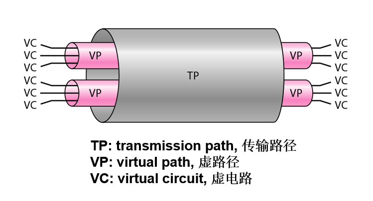 TP VP VC